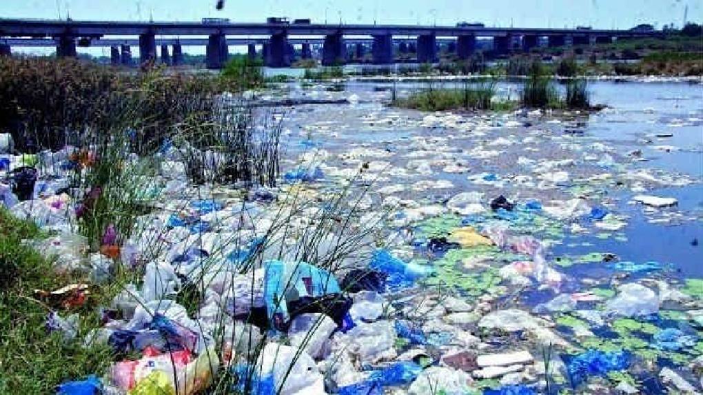 Plastic bag marine pollution